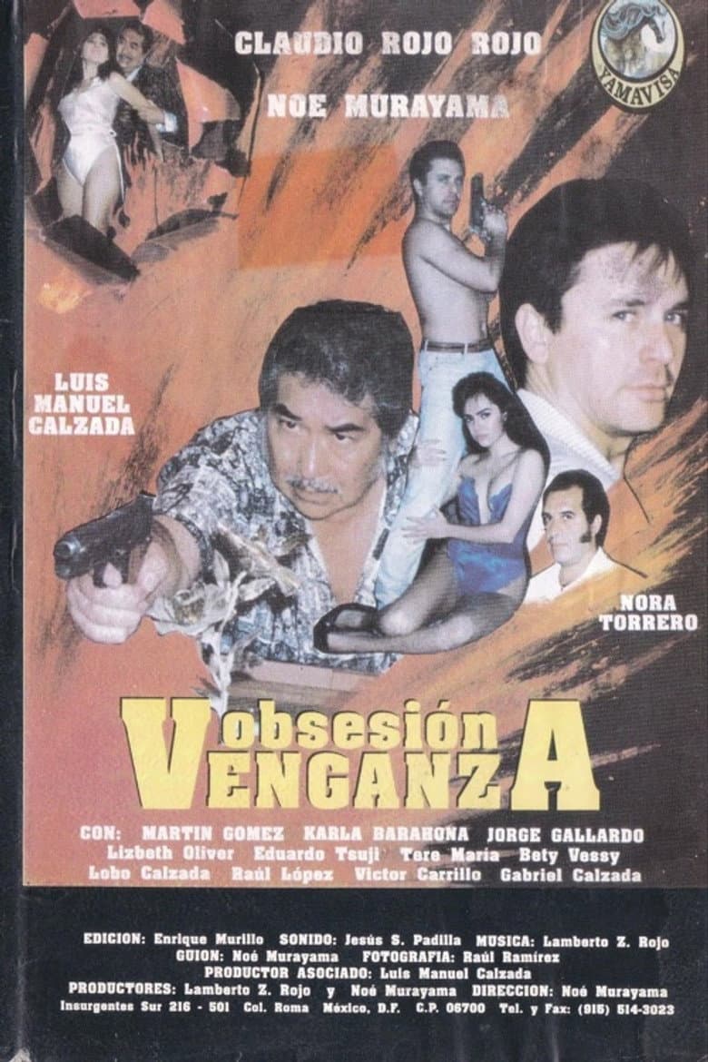 Obsesión venganza poster