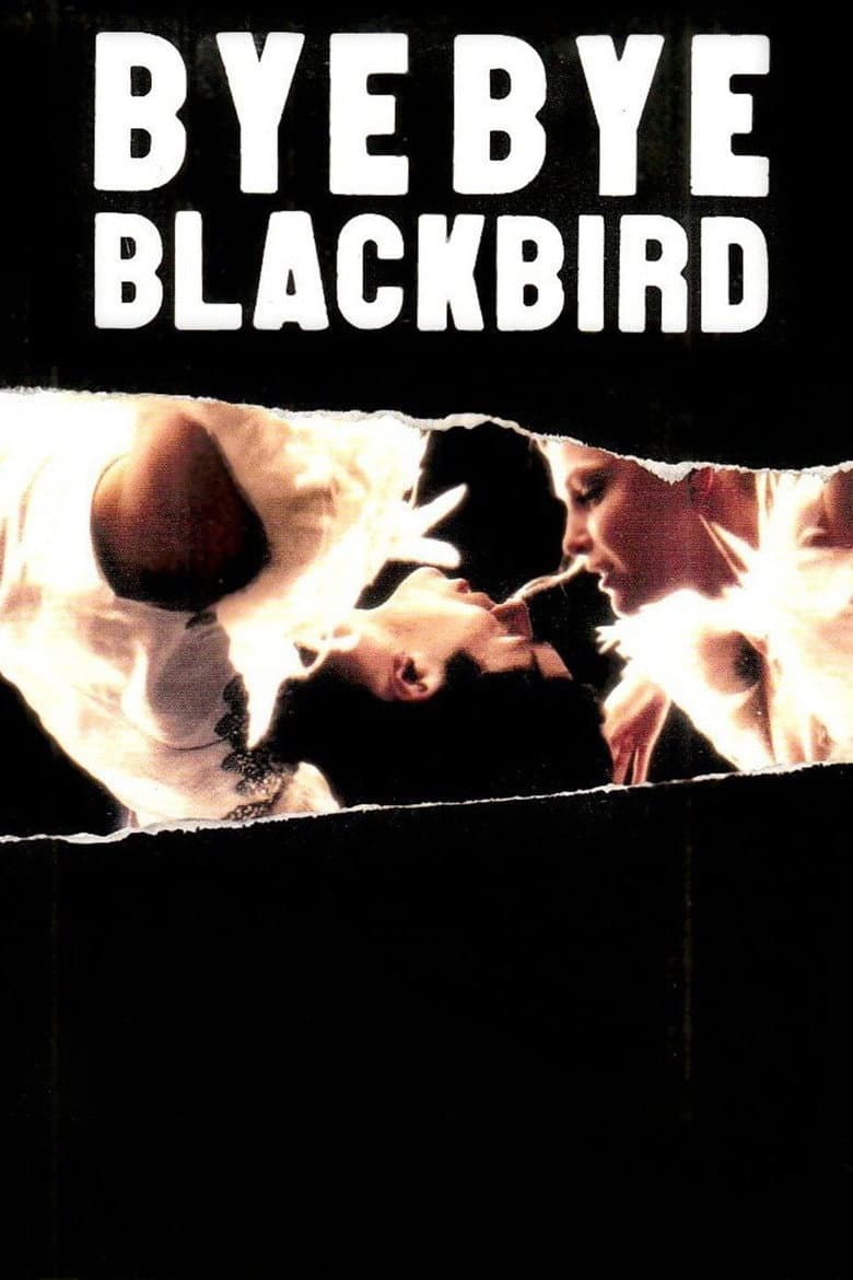 Bye Bye Blackbird poster