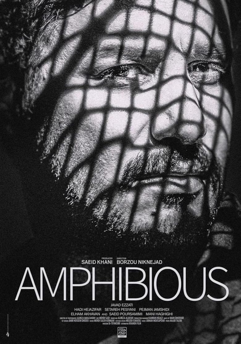 Amphibious poster