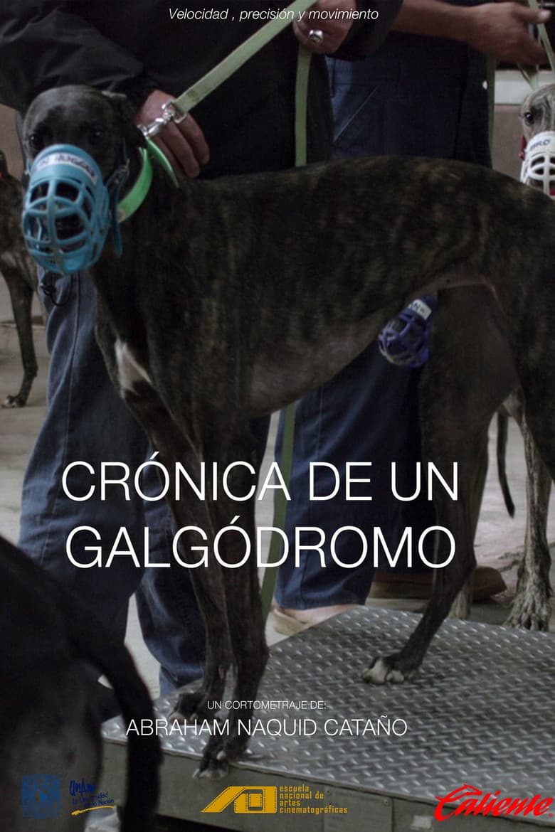 Crónica de un galgódromo poster