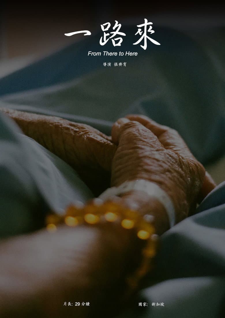 From There to Here poster