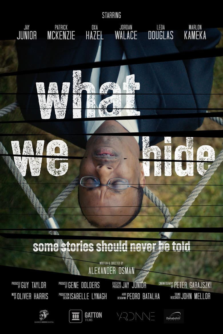 What We Hide poster