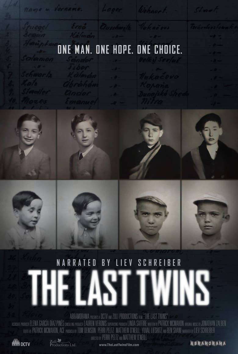 The Last Twins poster