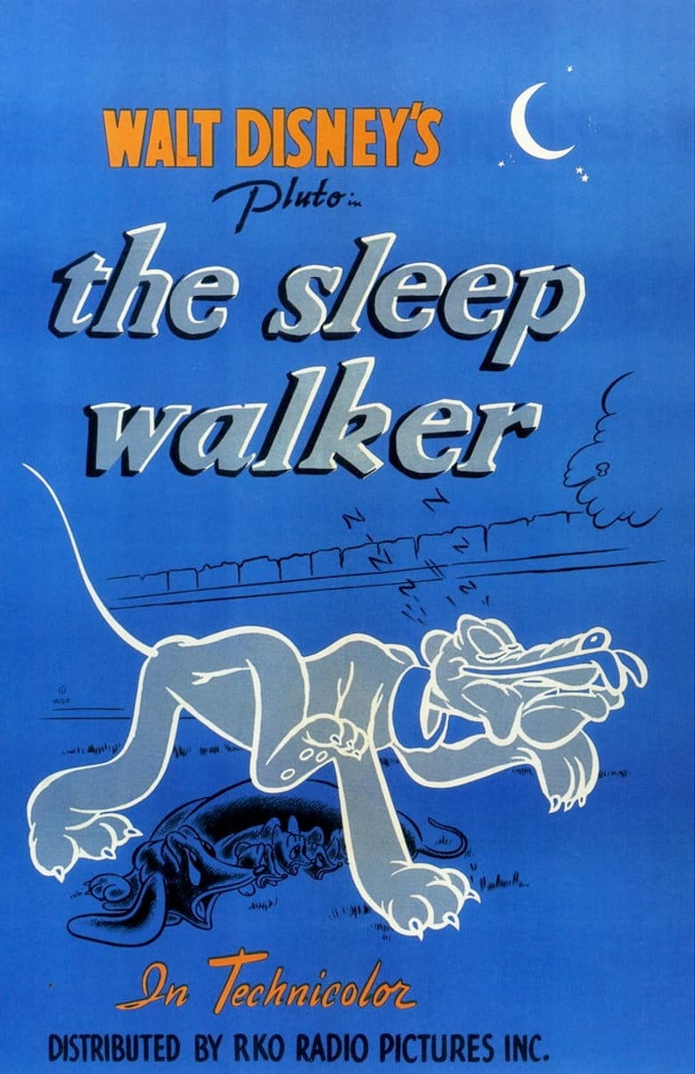 The Sleepwalker poster