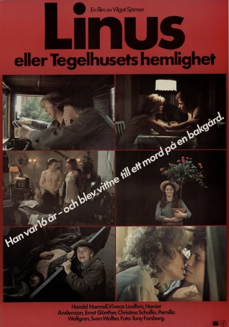 Linus eller Tegelhusets hemlighet poster