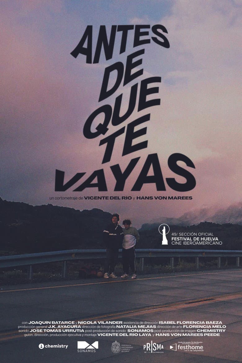 Before You Go poster