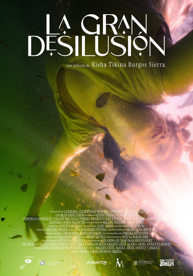 La Gran Desilusión poster