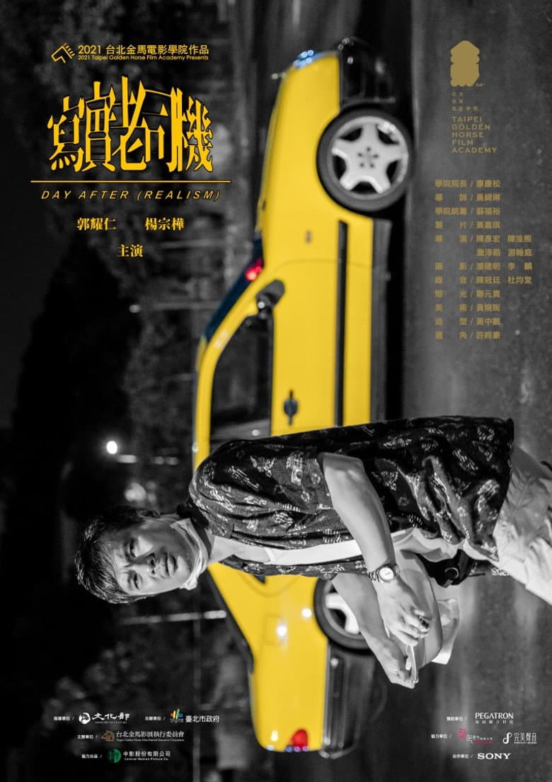 Day After (Realism) poster