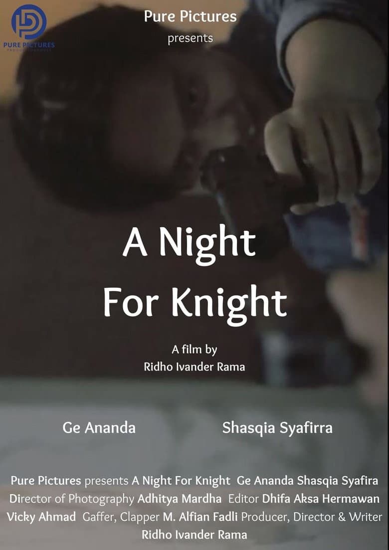 A Night For Knight poster
