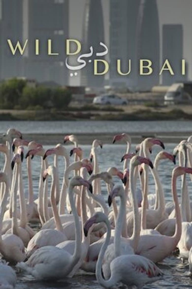 Wild Dubai poster