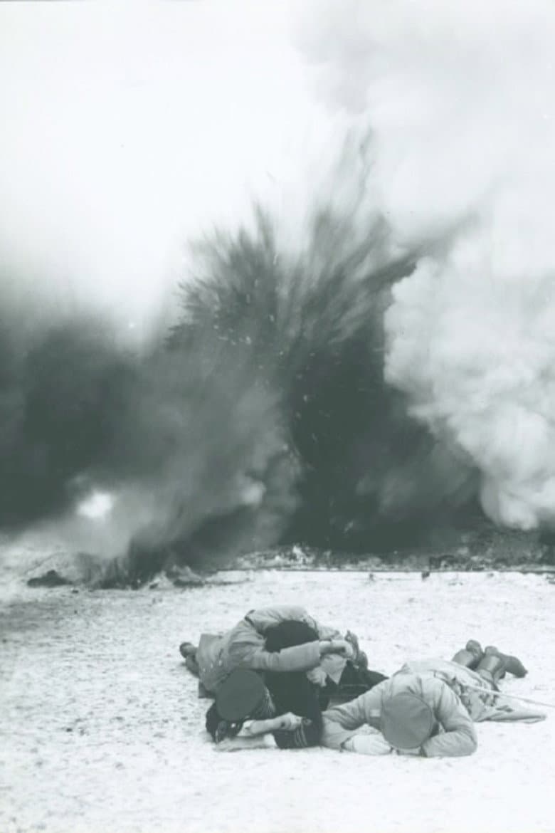 In Defense of the Nation poster