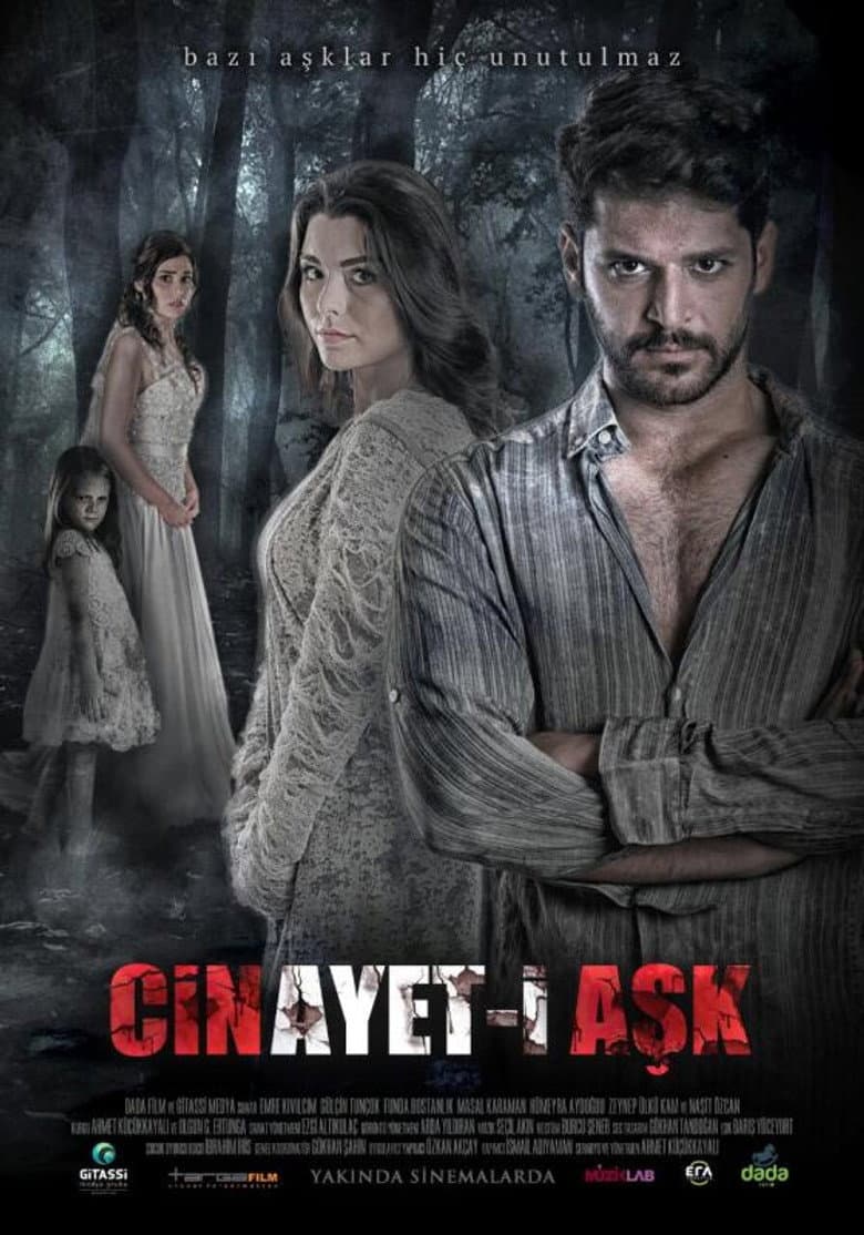 Cinayet-i Aşk poster