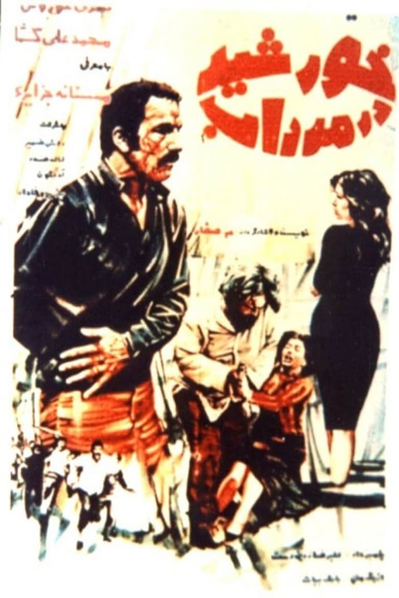 The sun in the swamp poster