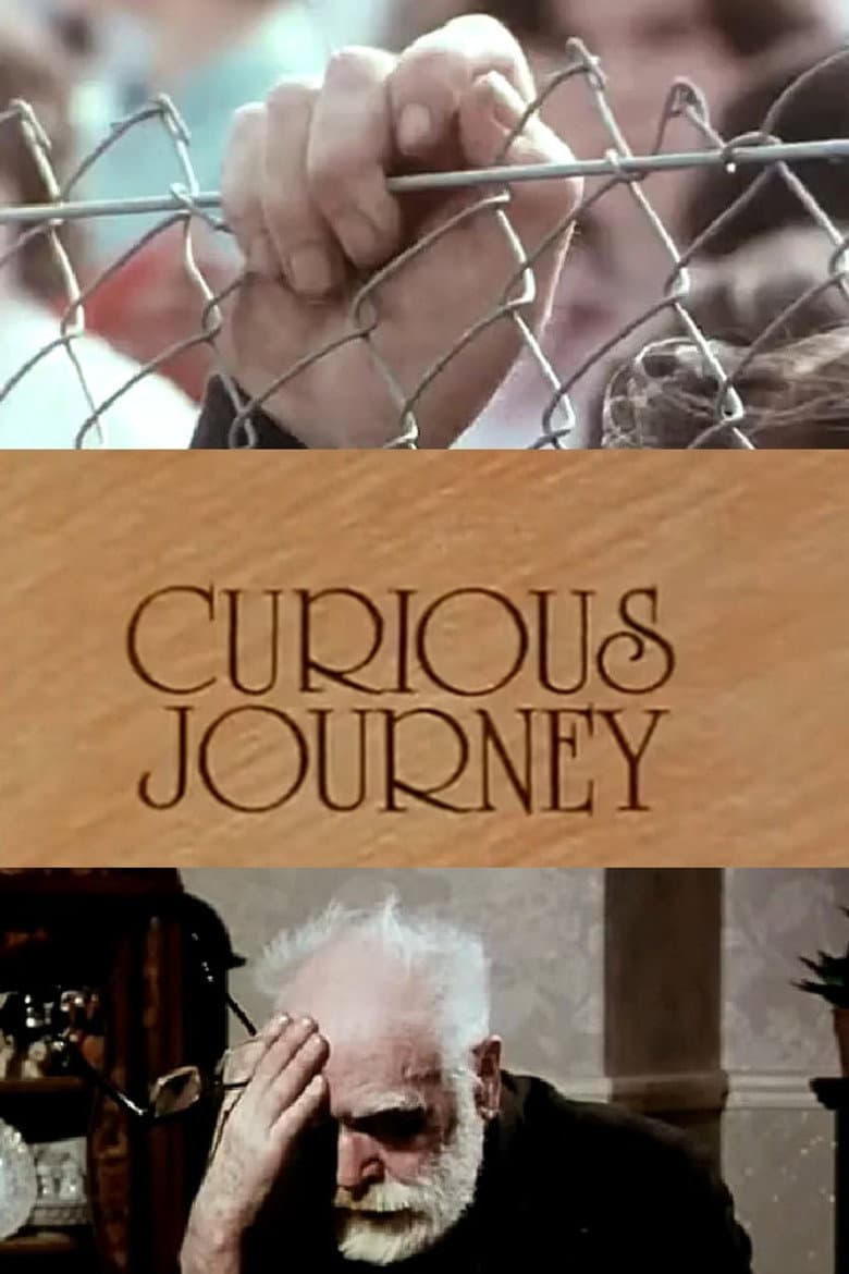 Curious Journey poster