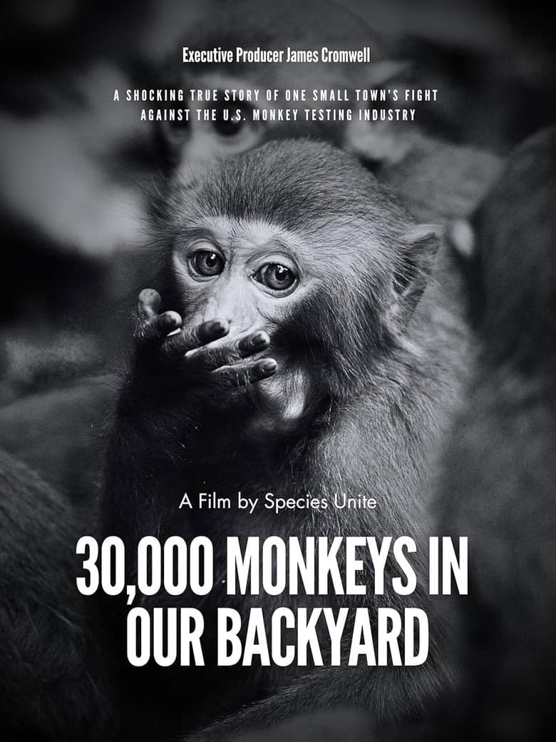 30,000 Monkeys in Our Backyard poster