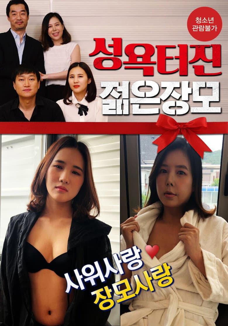 Young Mother-In-Law poster
