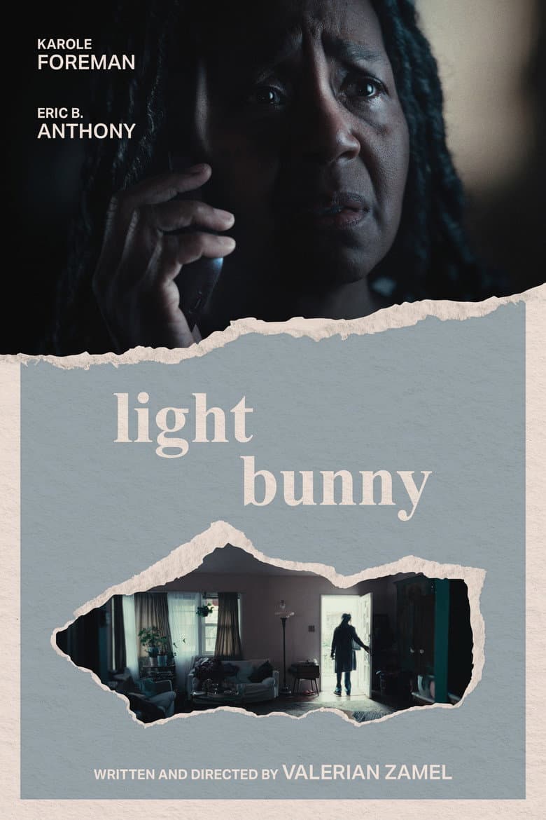 Light Bunny poster