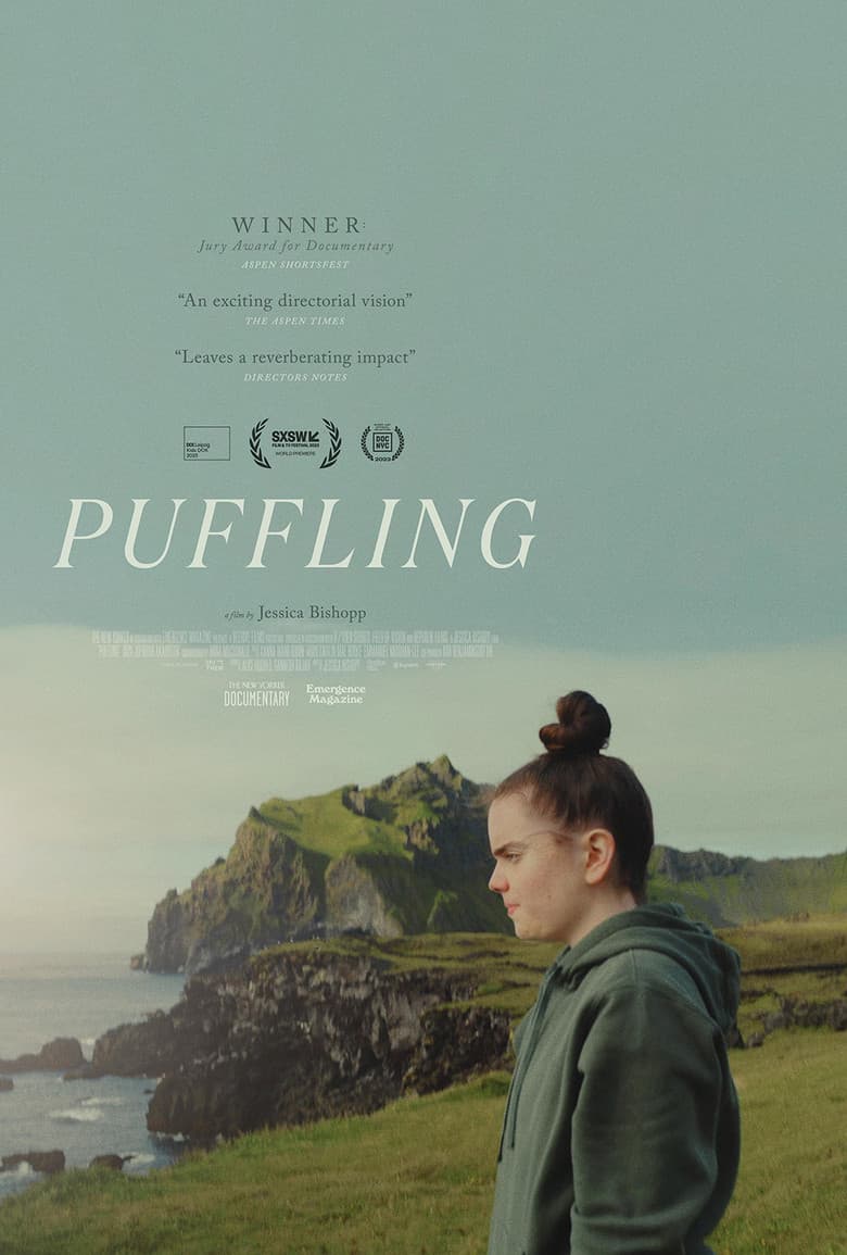 Puffling poster