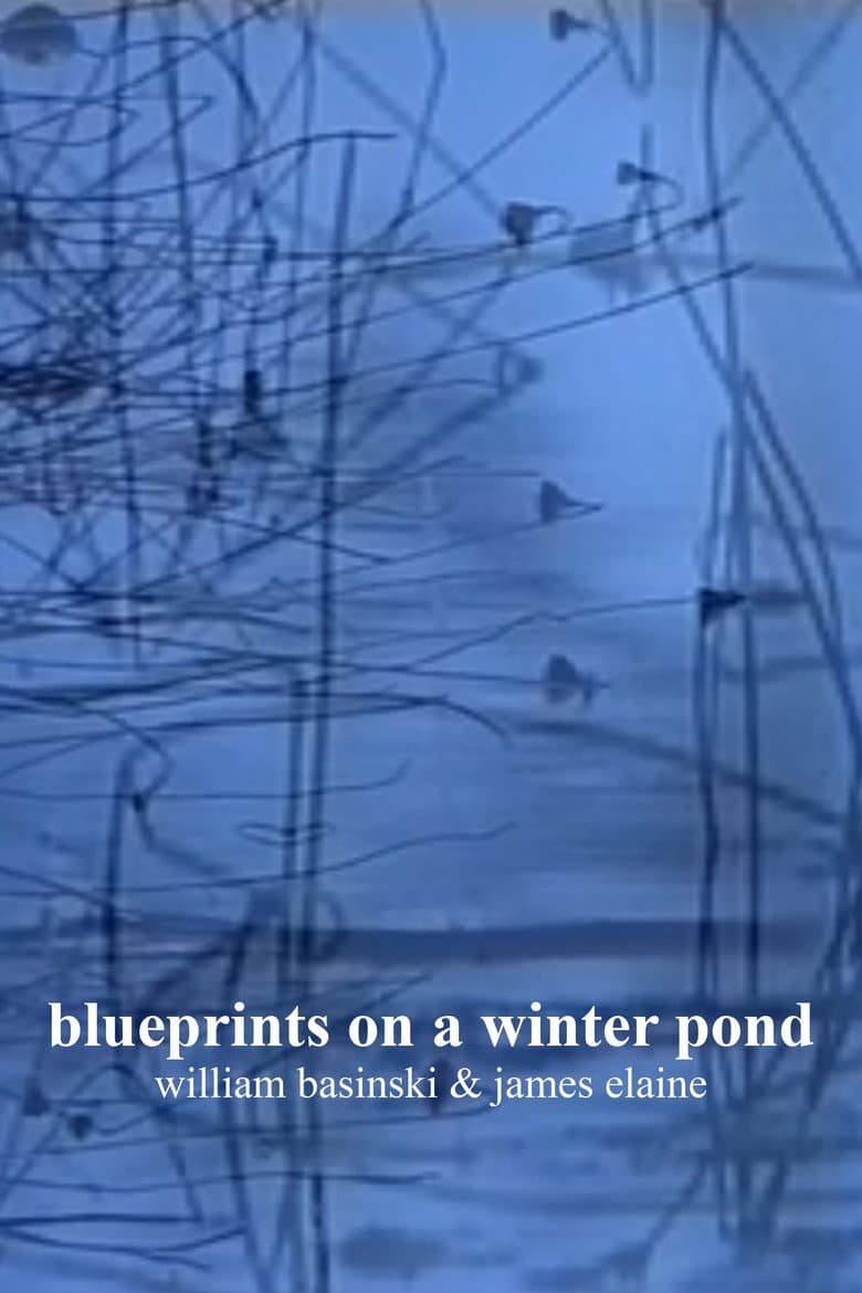 blueprints on a winter pond poster