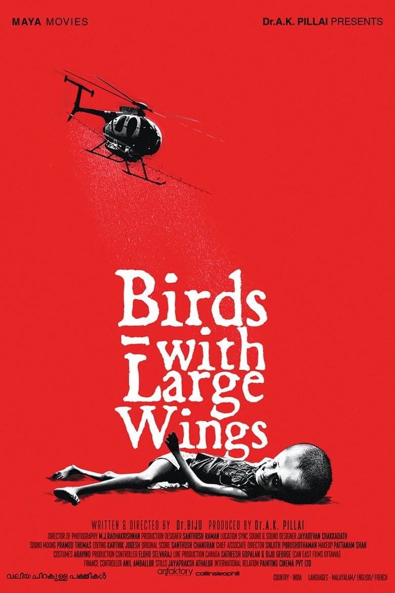 Valiya Chirakulla Pakshikal poster