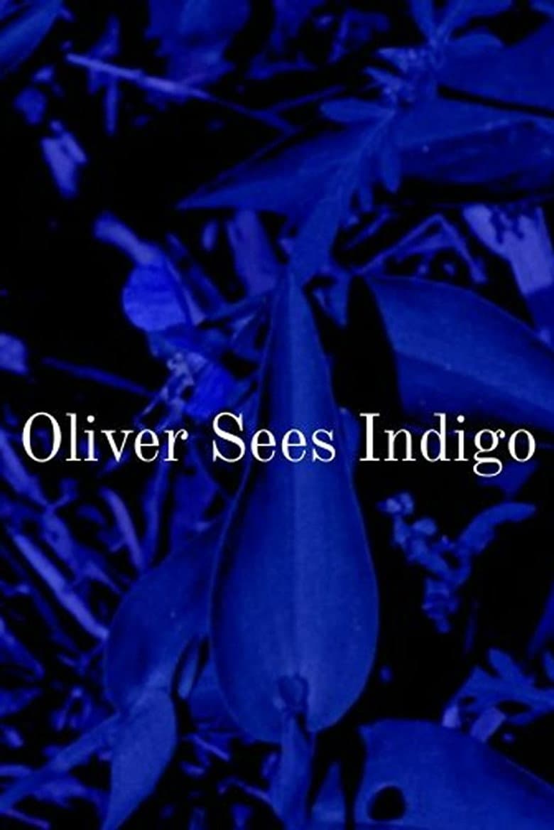 Oliver Sees Indigo poster