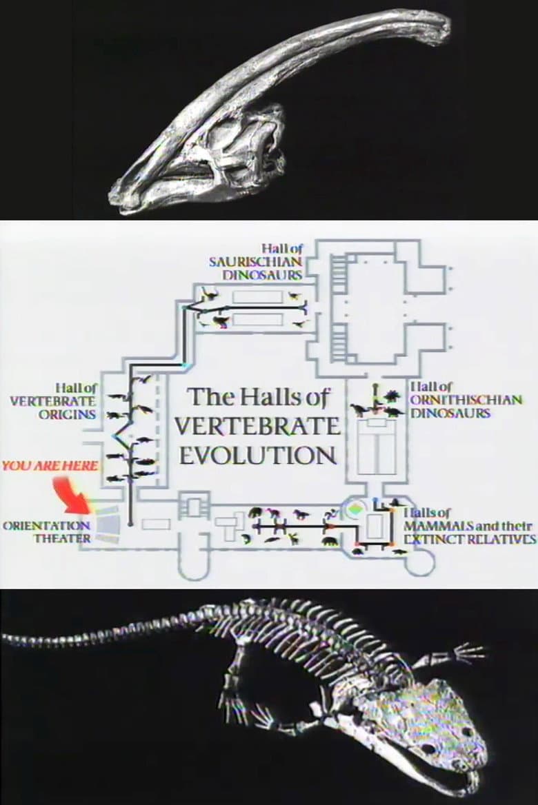 The Halls of Vertebrate Evolution poster