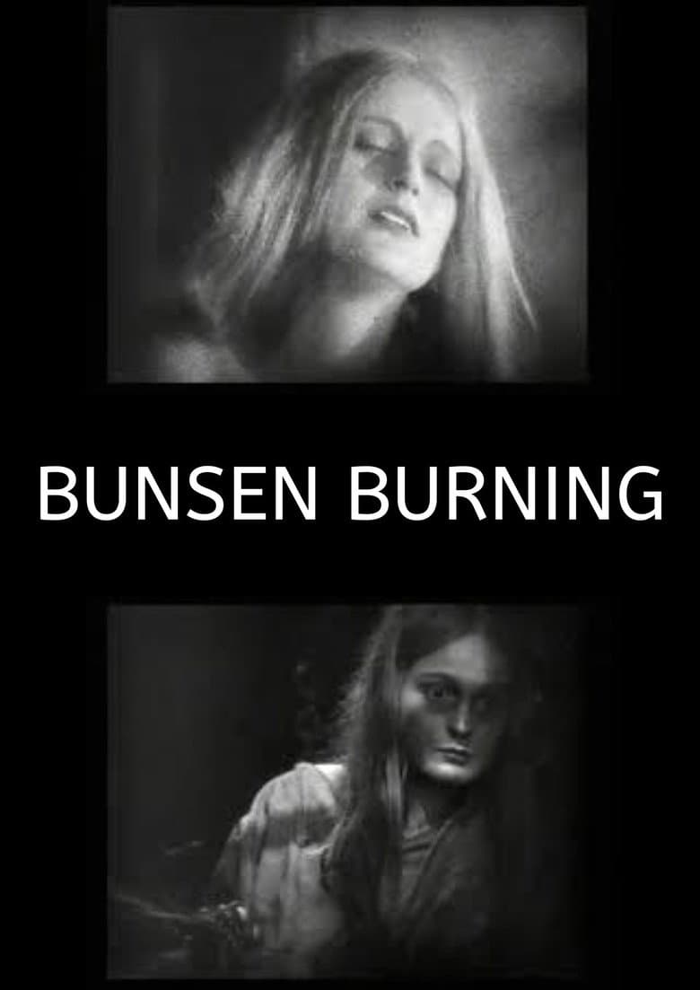 Bunsen Burning poster