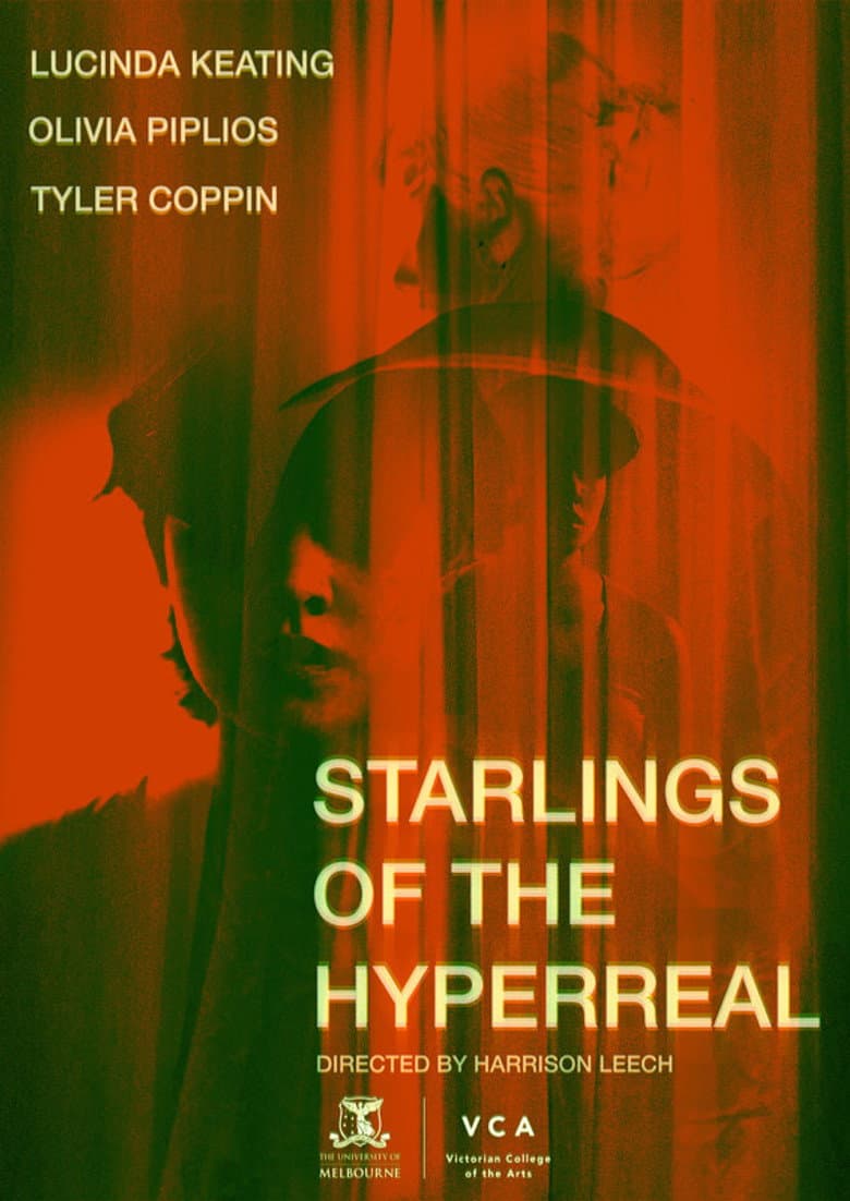 Starlings of the Hyperreal poster