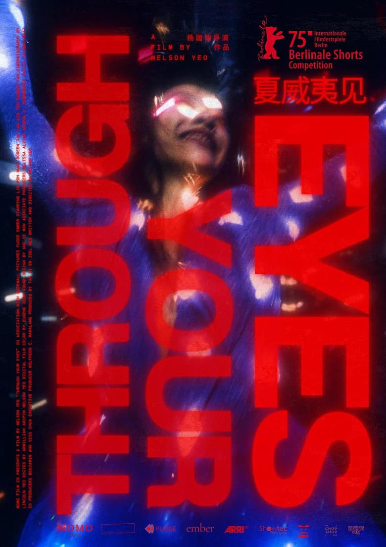 Through Your Eyes poster