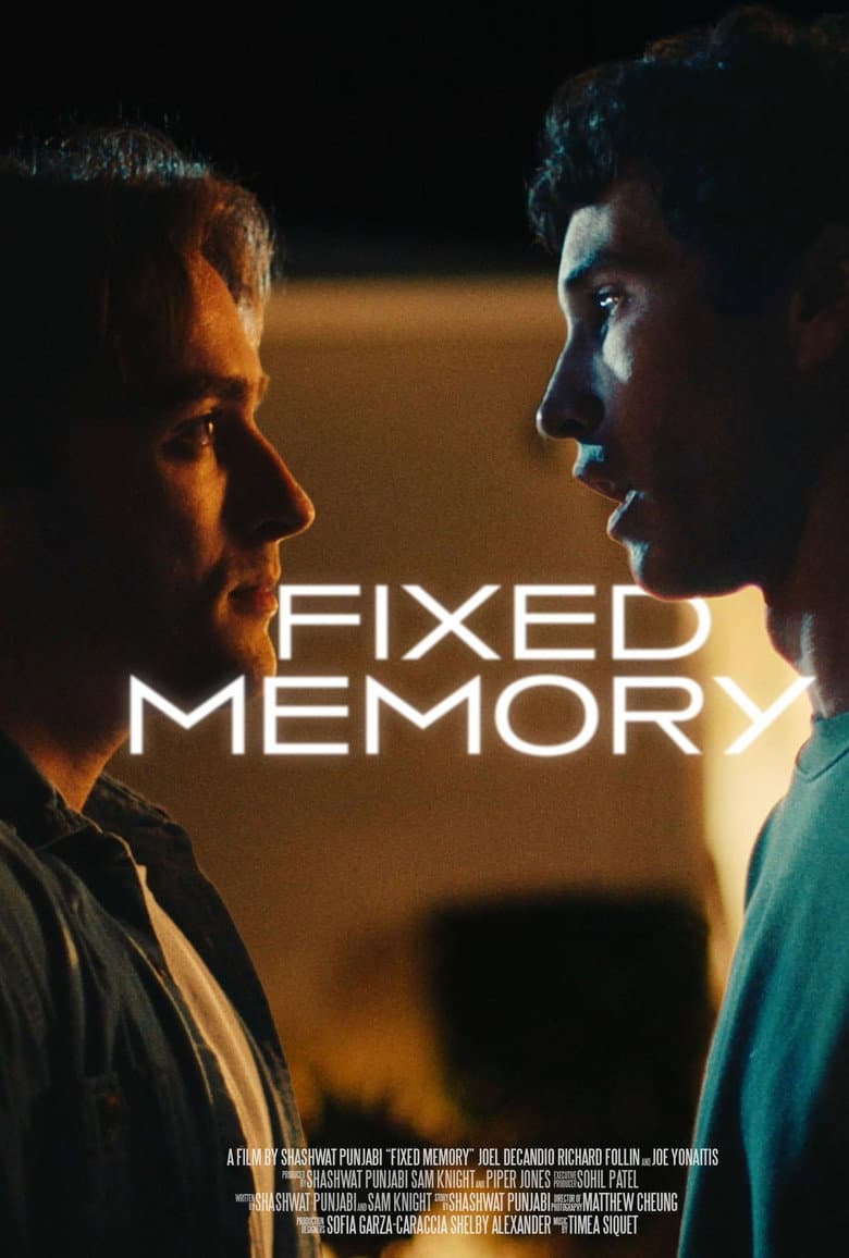 Fixed Memory poster