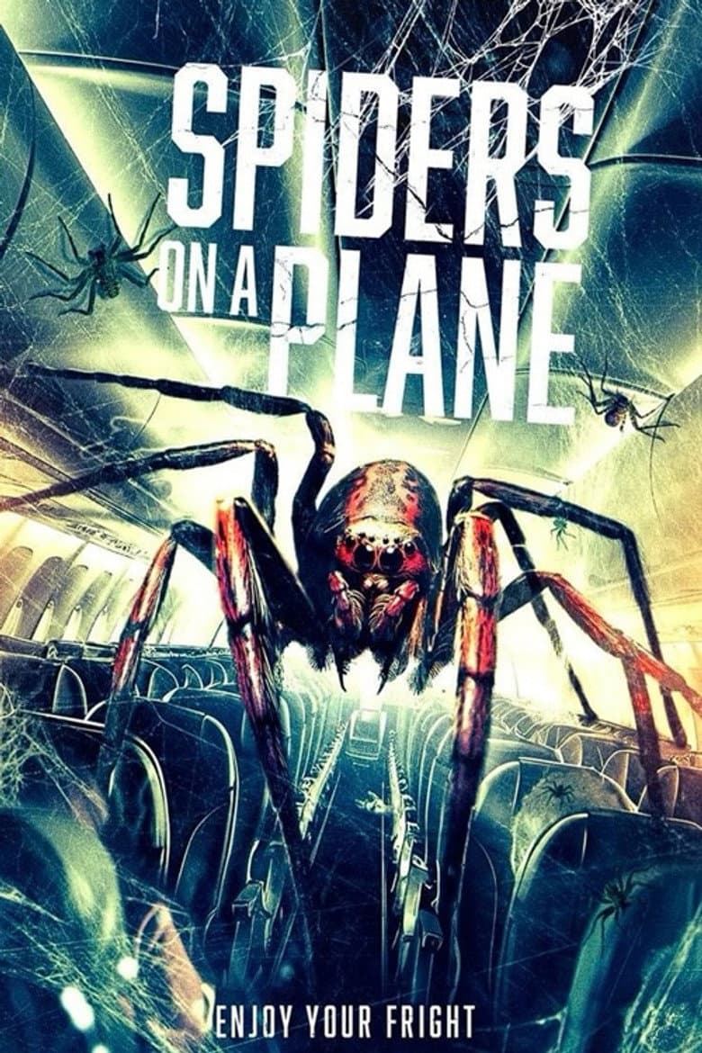 Spiders on a Plane poster