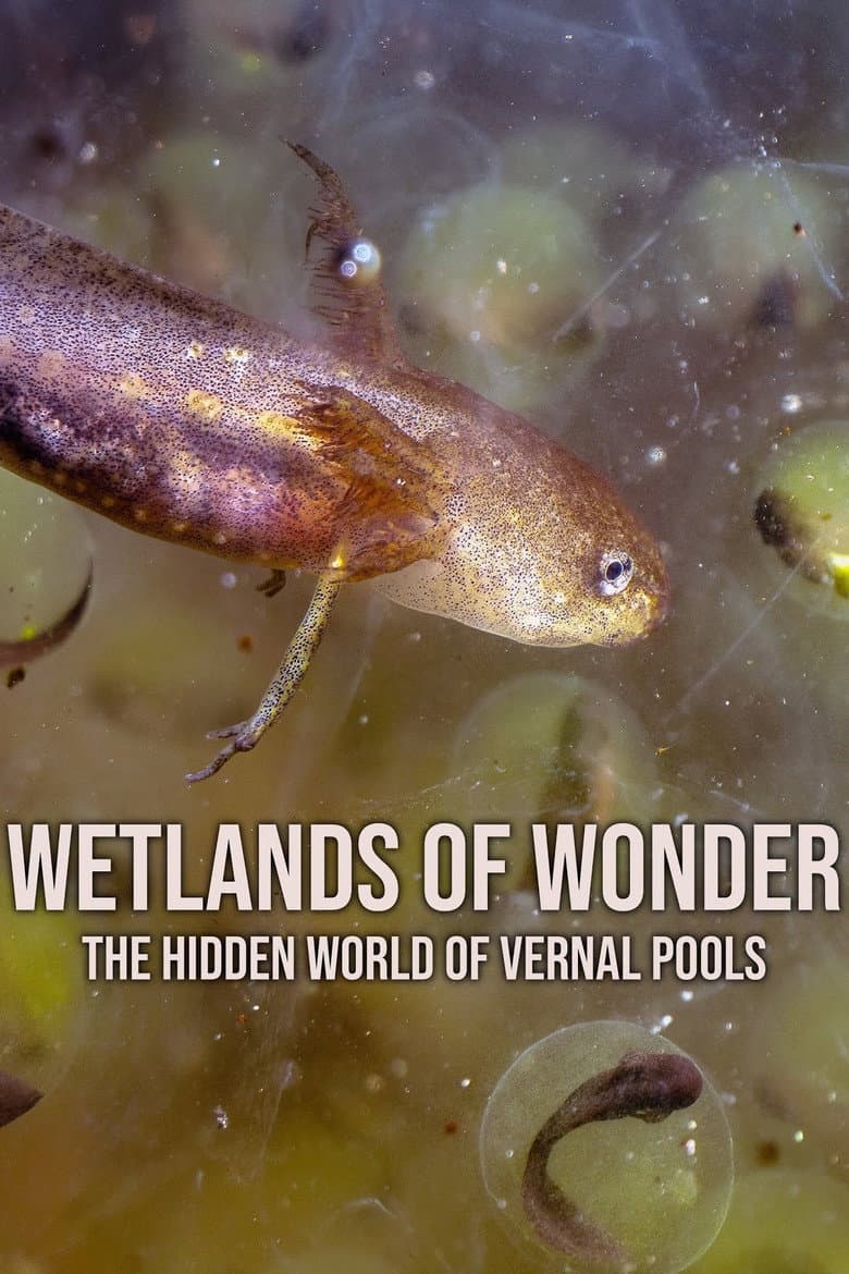 Wetlands of Wonder: The Hidden World of Vernal Pools poster