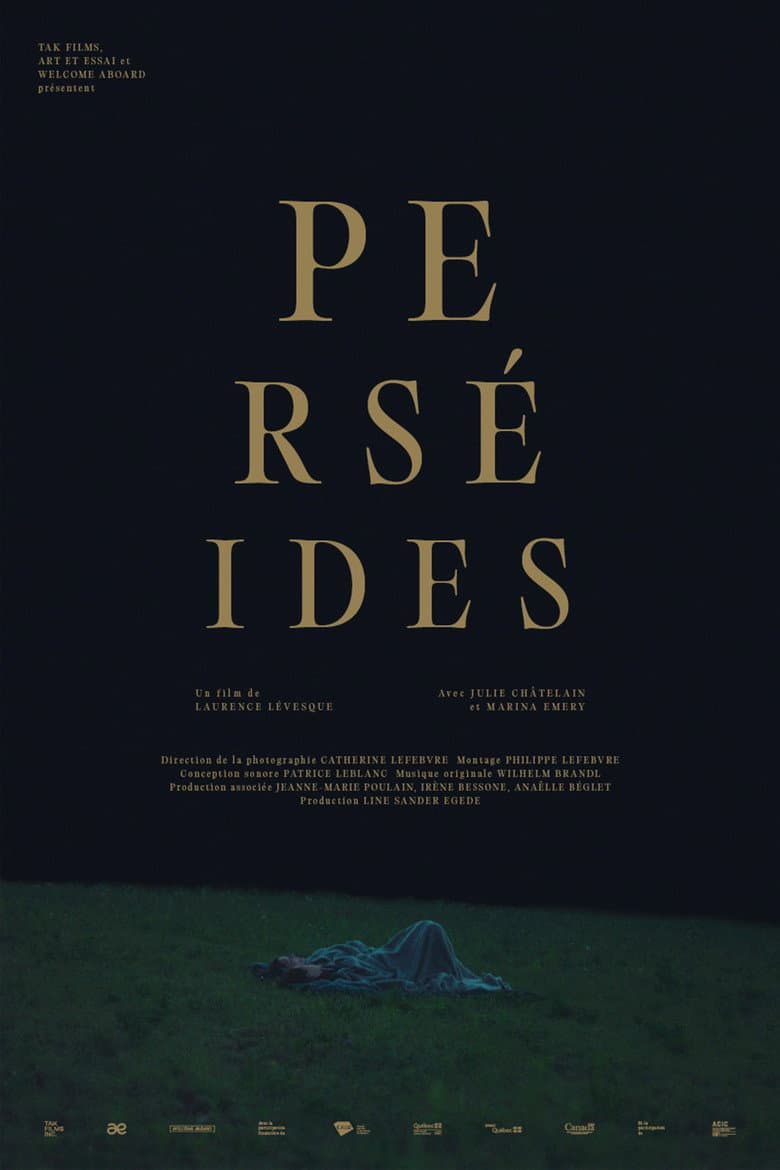 Perséides poster