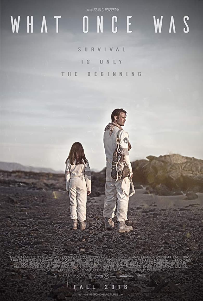 What Once Was poster