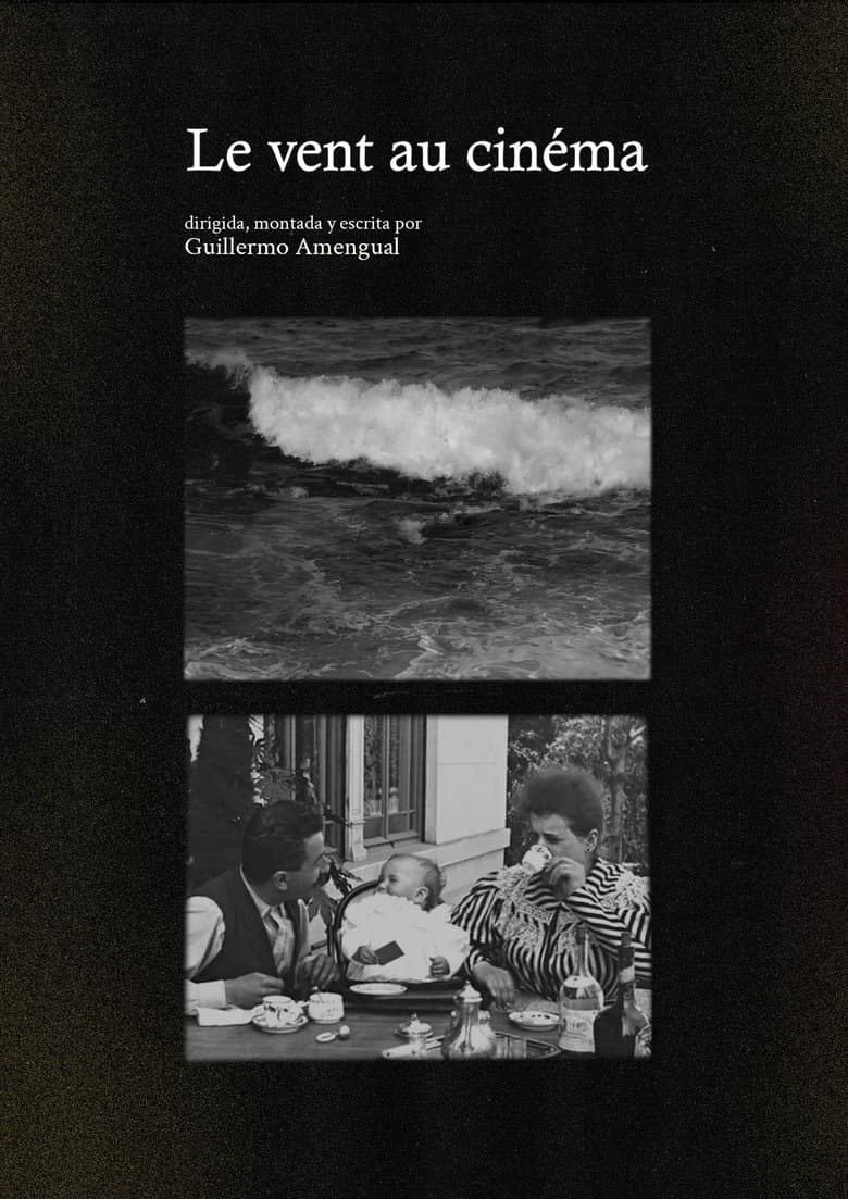 Le vent au cinéma poster