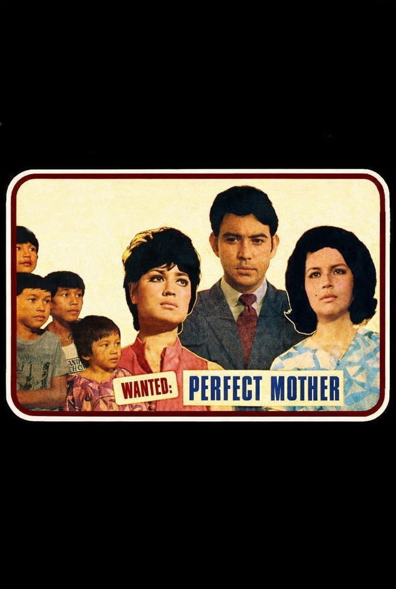 Wanted: Perfect Mother poster