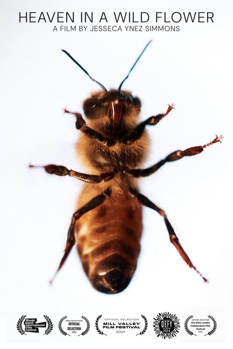 Heaven in a Wild Flower poster