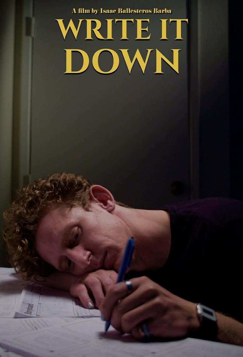 Write It Down poster