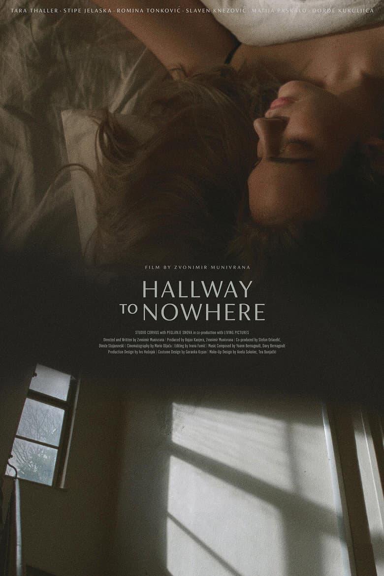 Hallway to Nowhere poster