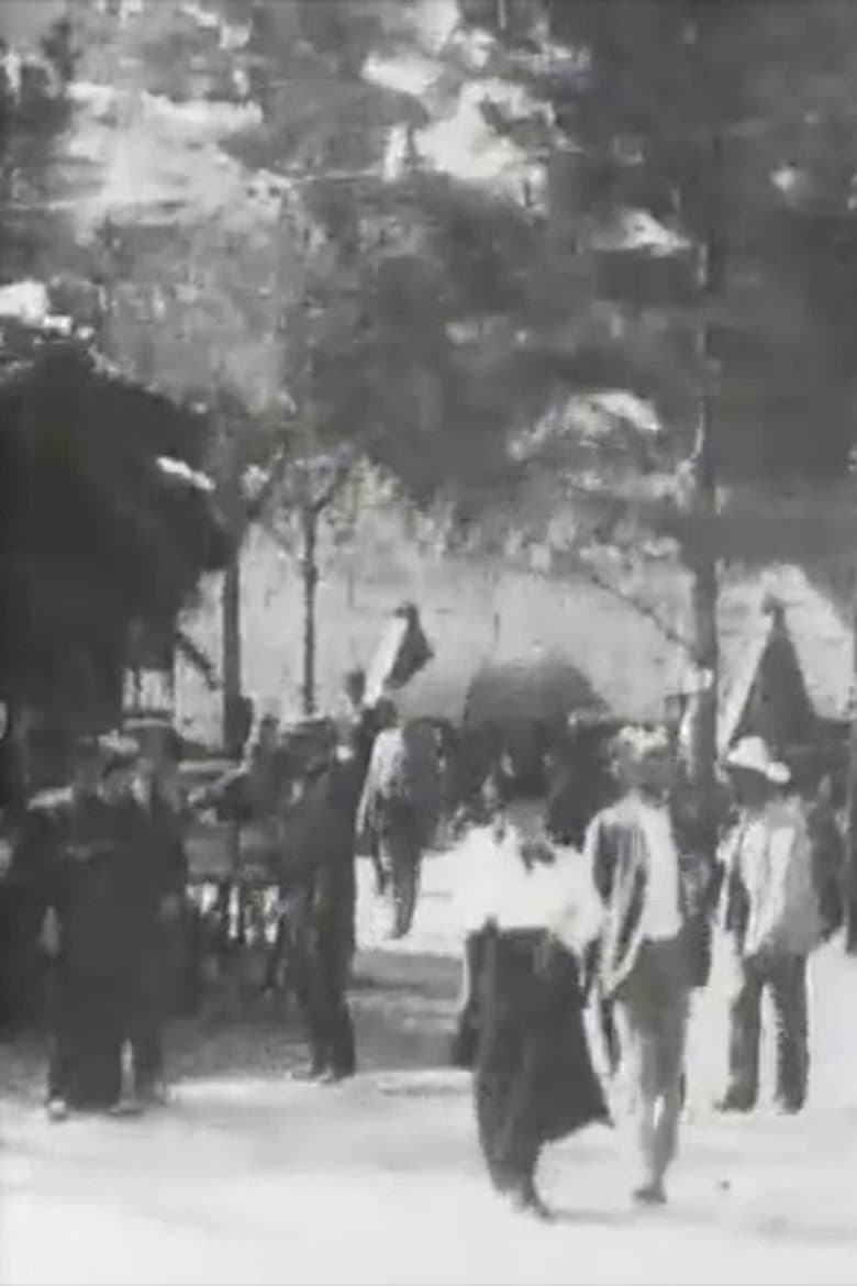 Swiss Village, No. 2 poster