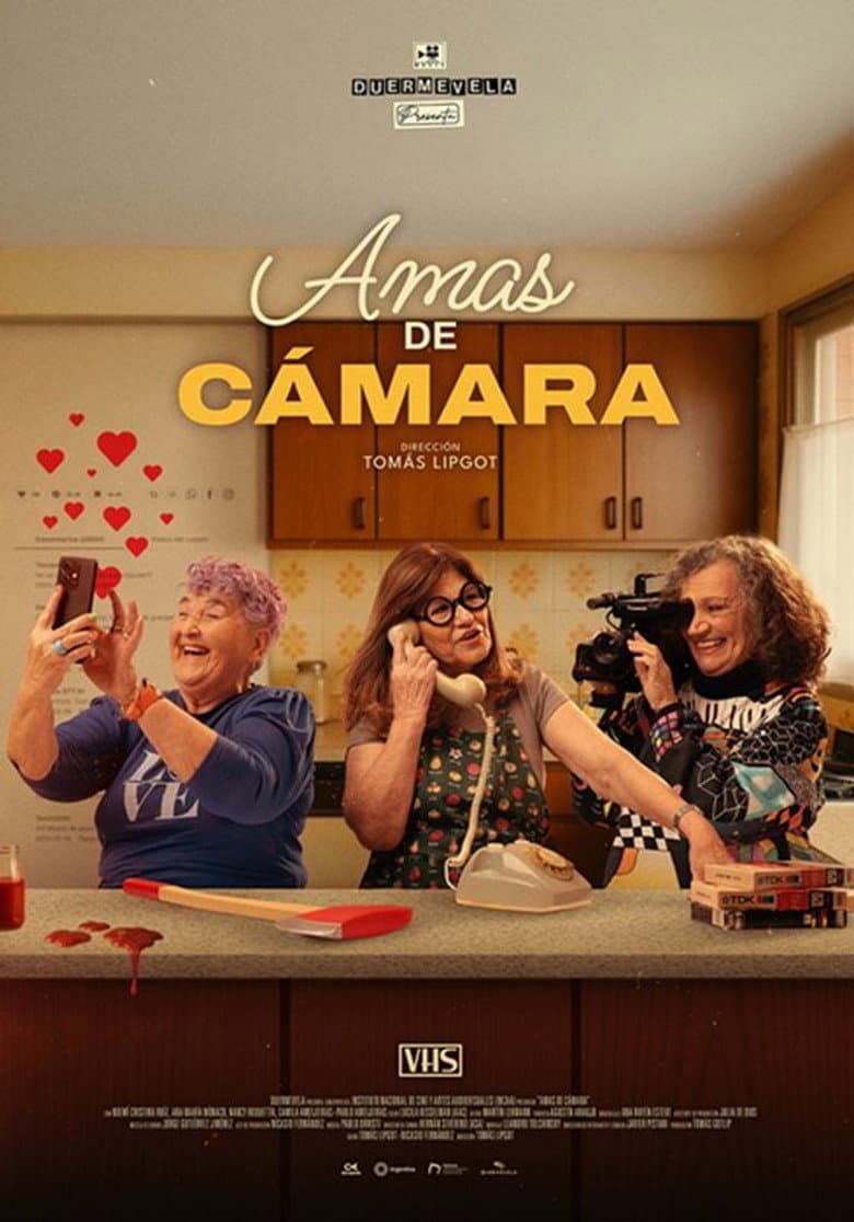 Ladies of the Lens poster
