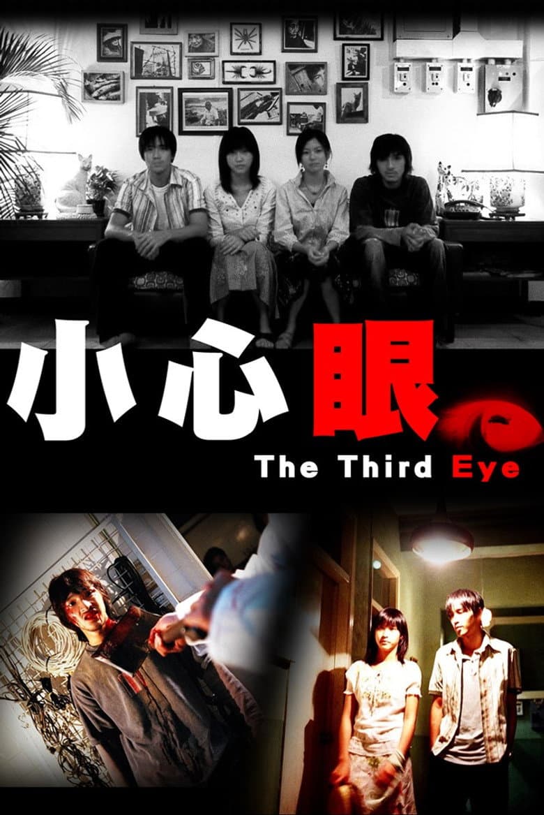 The Third Eye poster