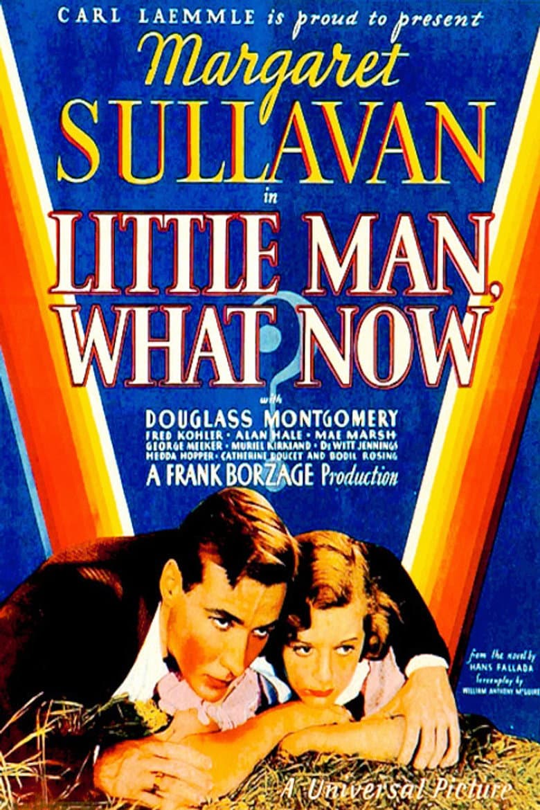 Little Man, What Now? poster
