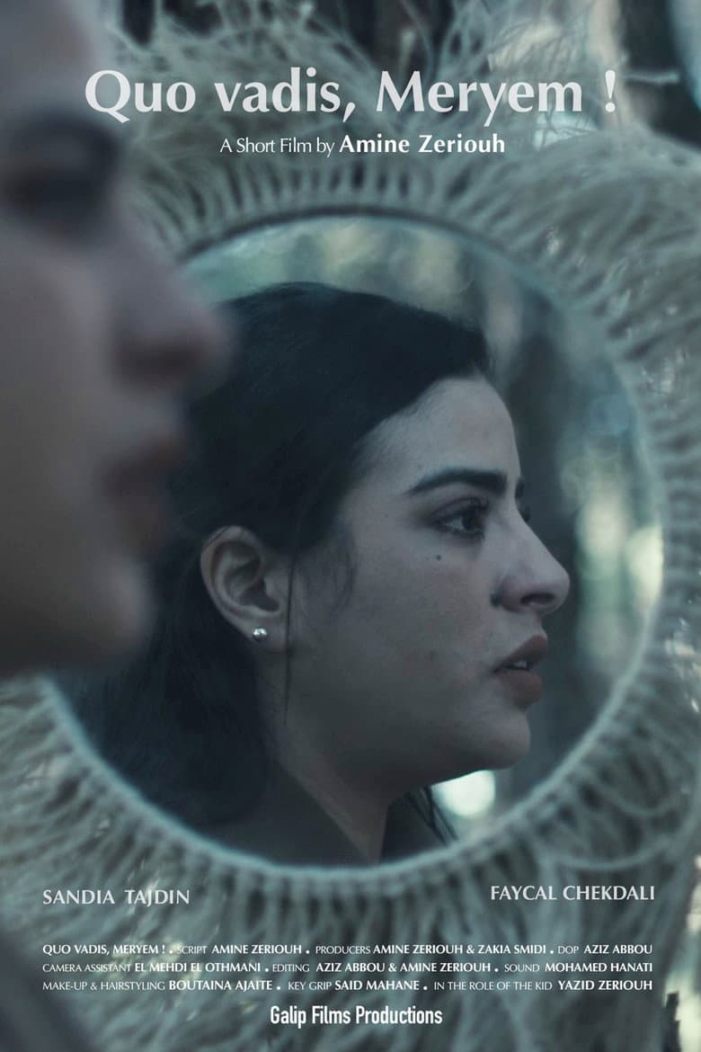 Quo vadis, Meryem! poster