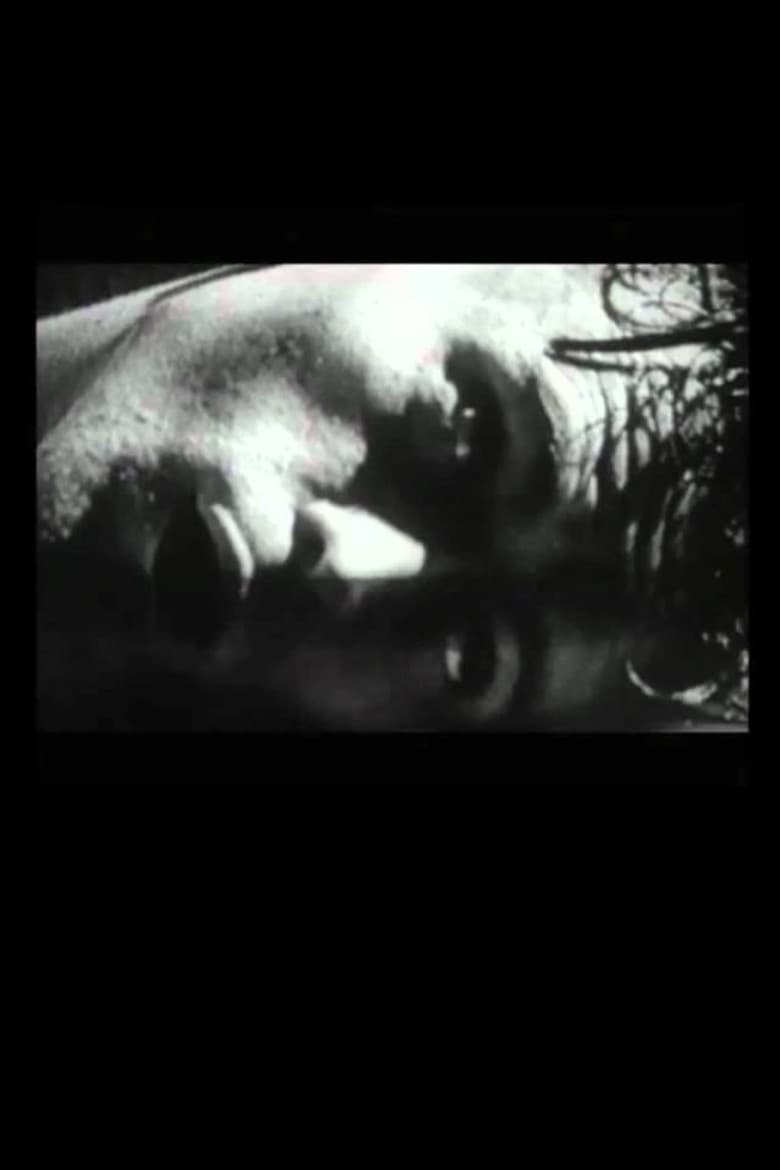 The Hunger Artist poster