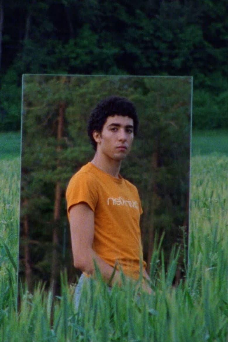 Voguing with Beethoven poster