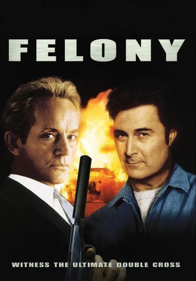Felony poster