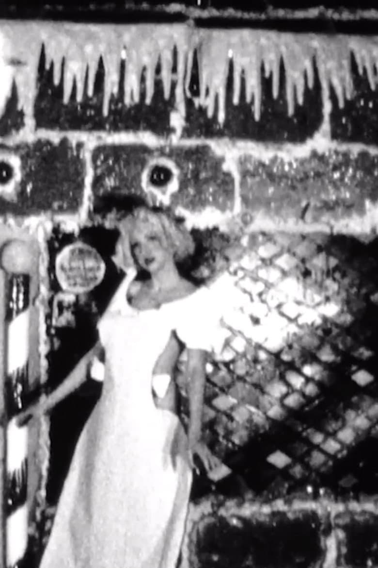 Spring and Winter poster