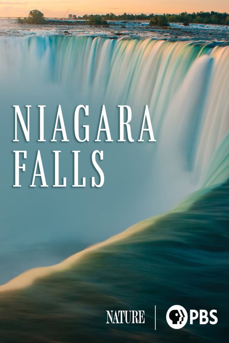 Niagara Falls poster
