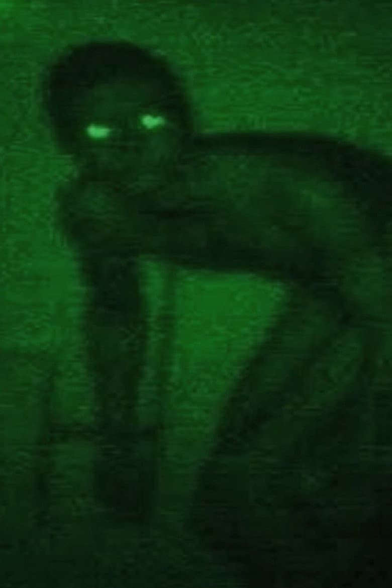 I Touched Her Legs remix poster